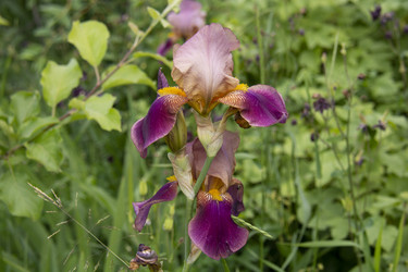 Similar image 21975110