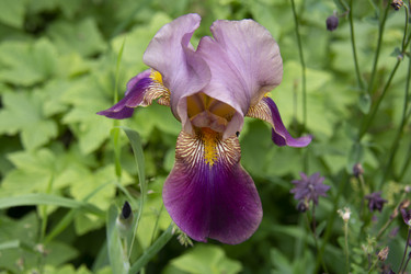 Similar image 21975111