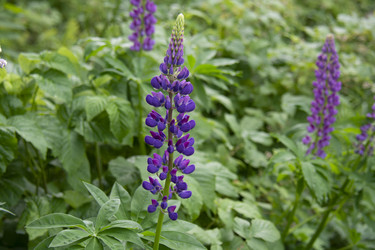 Similar image 21975112