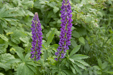 Similar image 21975114