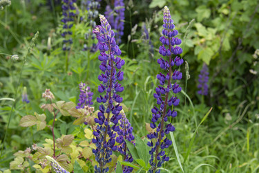 Similar image 21975115