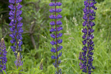 Similar image 21975116