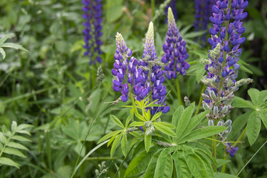 Similar image 21975117