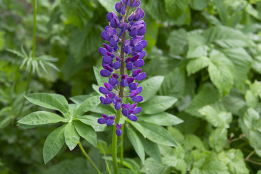 Similar image 21975118