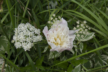 Similar image 21975119