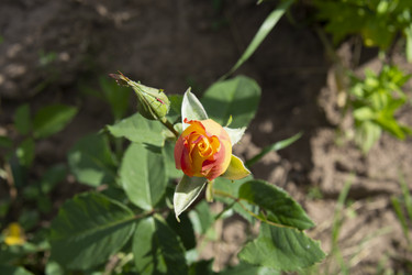 Similar image 21975121