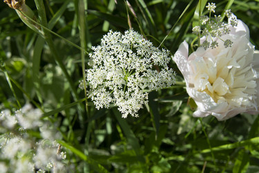 Similar image 21975122