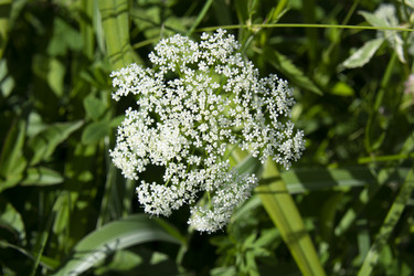 Similar image 21975123