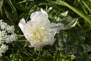 Similar image 21975124