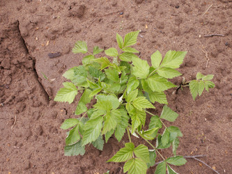 Similar image 21975126