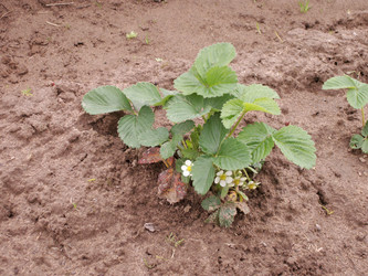 Similar image 21975128