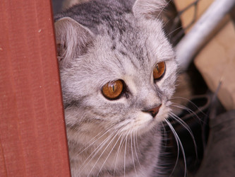 Similar image 21975129