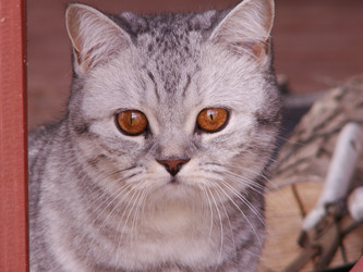 Similar image 21975130