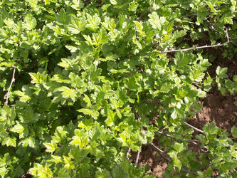 Similar image 21975131