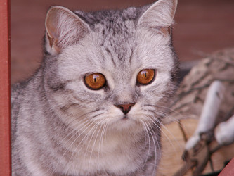 Similar image 21975132