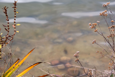 Similar image 21973280