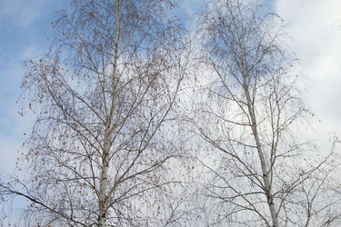 Similar image 21973281