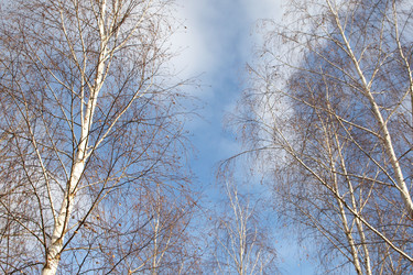 Similar image 21973283