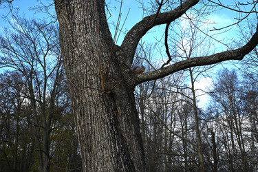 Similar image 21973289