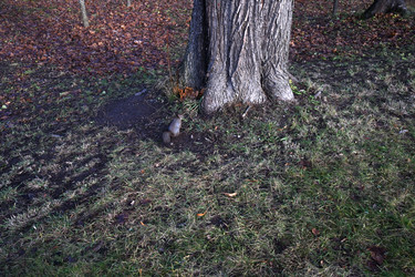 Similar image 21973290