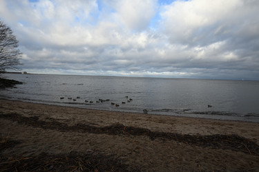 Similar image 21973291