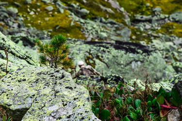 Similar image 21973763