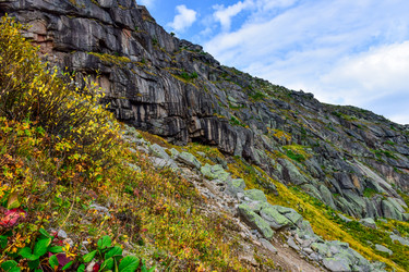 Similar image 21973930