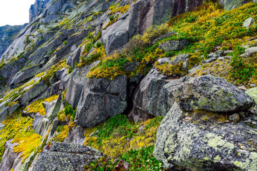 Similar image 21973931