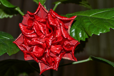 Similar image 21973768