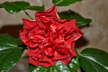 Similar image 21973769