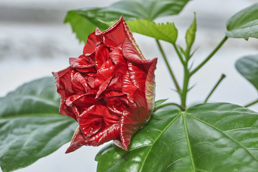 Similar image 21973770