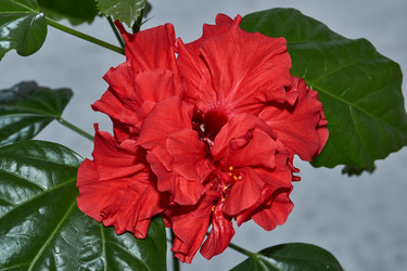 Similar image 21973772