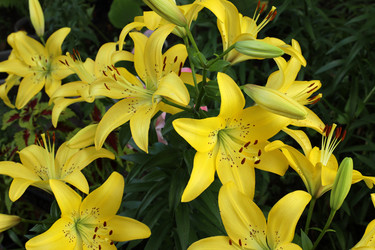 Similar image 21973298