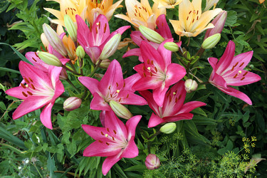 Similar image 21973299