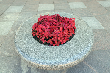 Similar image 21973300