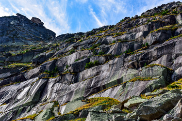 Similar image 21973938