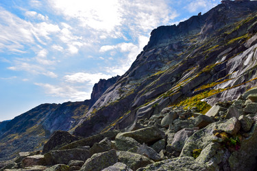 Similar image 21973939