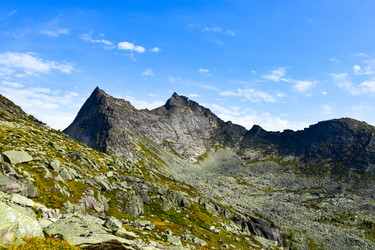 Similar image 21973942