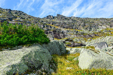 Similar image 21973947