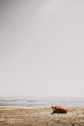 Similar image 21973476