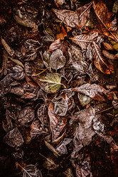 Similar image 21973479