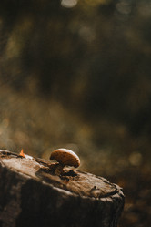 Similar image 21973480