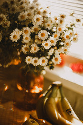 Similar image 21973481