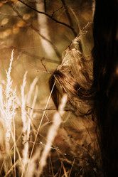 Similar image 21973482