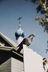 Similar image 21973483