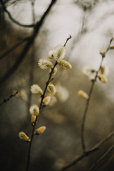 Similar image 21973485