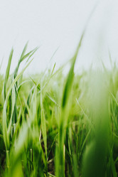 Similar image 21973491