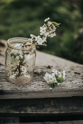 Similar image 21973492