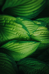 Similar image 21973494