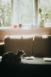 Similar image 21973496